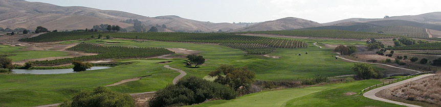 Scout Napa Valley